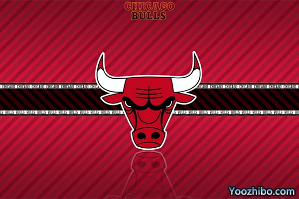 1994-1995赛季<a href=/look/lanqiuzhibo/bulls/ target=_blank class=infotextkey>公牛</a>队球员名单阵容一览