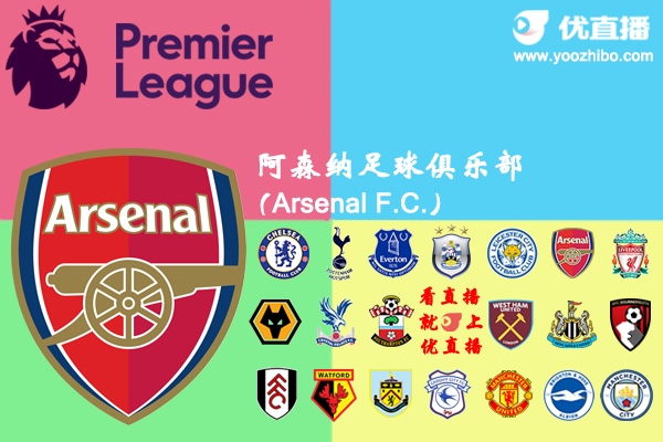 2018-19赛季阿森纳阵容名单一览